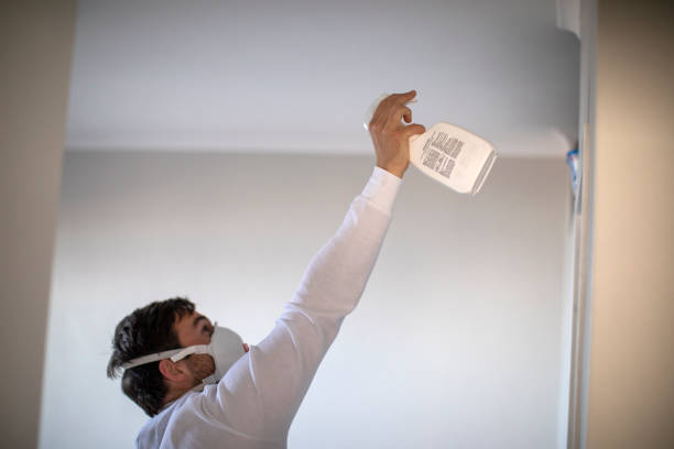 Best Commercial Mold Removal  in Athens, MI